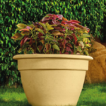 Lina  Tree Pot