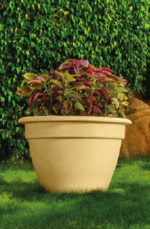 Lina  Tree Pot