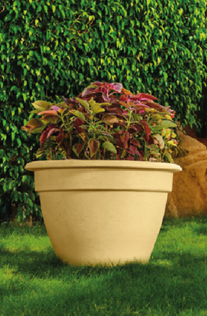 Lina Lina Tree Pot - Image 1
