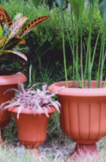 Low-scaled cup tree pot - Image 2