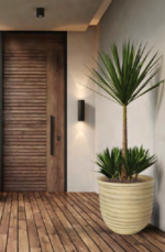 Mano tree pot - Image 2