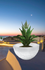 Marvel illuminato lighting tree pot - Image 5