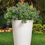 Modern Lighting tree pot