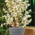 Passent Tree Pot