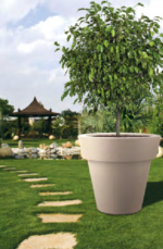 Perito Tree Pot - Image 2