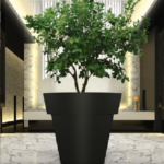 Perito Modern tree Pot