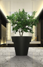 Perito Modern tree Pot