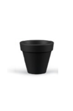 Piccoli Modern tree Pot - Image 9