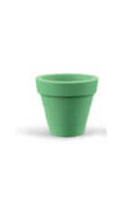 Piccoli Modern tree Pot - Image 7