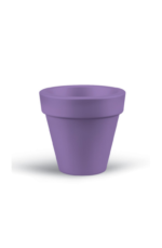 Piccoli Modern tree Pot