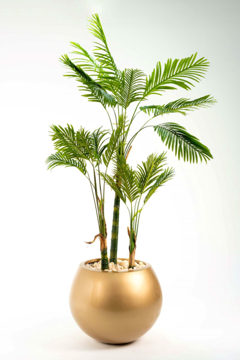 Picture1 GRPO Mangeshkar Areca Artificial Tree 210 cm - Image 1