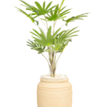 Latania Artificial tree 150 cm