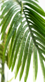 GRPO Mangeshkar Areca  Artificial Tree 250 cm - Image 2