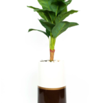 Dieffenbachia Artificial Tree 140cm