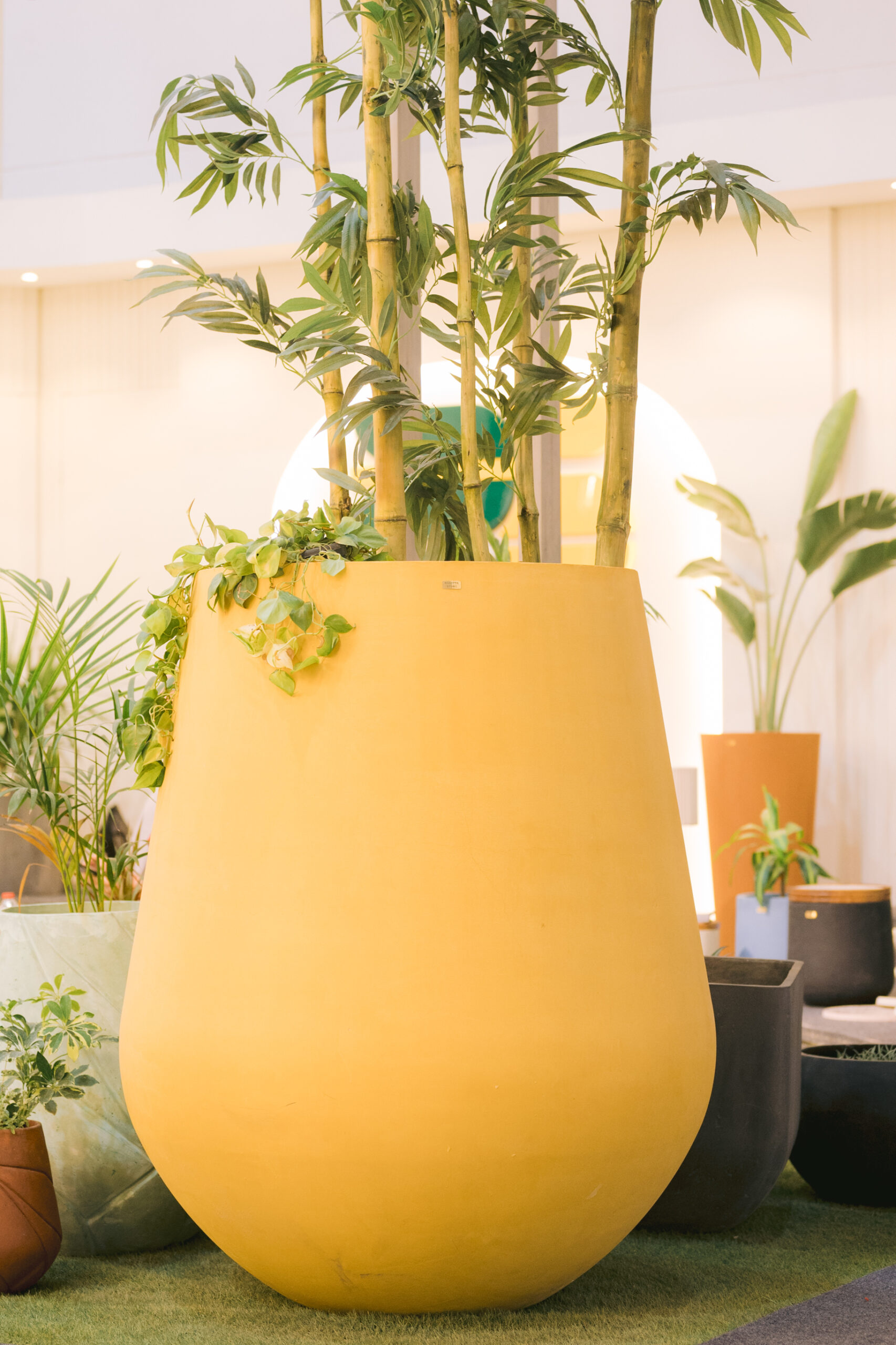Ptah XL Ptah GRC Tree pot - Image 1