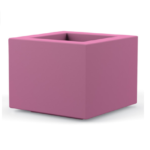 Quadro square Modern tree Pot