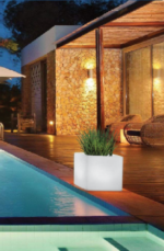 quadro illuminato Lighting tree pot - Image 4