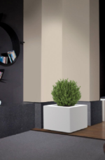 Quadro square Modern tree Pot - Image 5