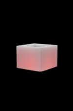 quadro illuminato Lighting tree pot - Image 3