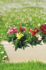 Floor rectangular tree planter - Image 2