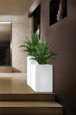 Recto illuminato Lighting tree planter - Image 5