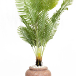Sago Areca Artificial Tree 170cm