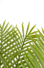 Feathery Areca  Artificial tree 170 cm - Image 2