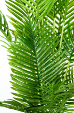 GO Sago Palm  Artificial Tree 170cm - Image 2