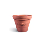 Regina Tree Pot
