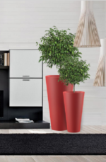 Ronda Modern tree Pot - Image 5