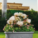 Sicilia tree planter