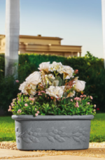 Sicilia tree planter