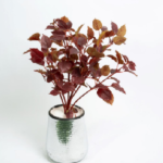 Small Red Tree S04