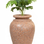 Small Tree S05
