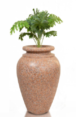 Small Tree S05