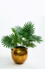 Small Tree S01