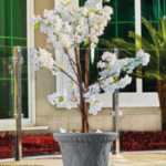 Sona  Tree Pot
