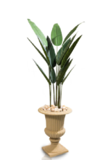 Regio Strelitzia Nicolai  Artificial Tree 160 cm