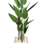 Roman Strelitzia Nicolai Artificial Tree 180cm