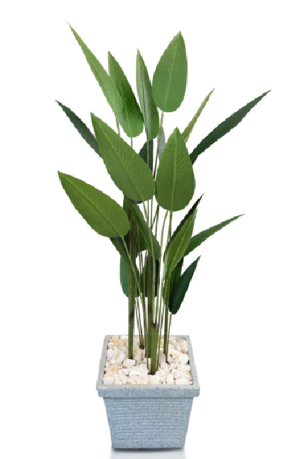 Strelitzia Nicolai Roman Strelitzia Nicolai Artificial Tree 180cm - Image 1