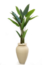 Linda Banana Artificial Tree 170-180cm