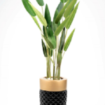 GRP Strelitzia Nicolai  Artificial Tree 180 cm