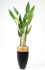 GRP Strelitzia Nicolai  Artificial Tree 180 cm
