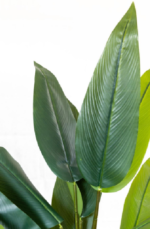 Linda Banana Artificial Tree 170-180cm - Image 2