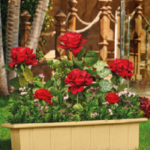 Teak tree planter