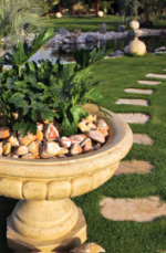 Tino Tree Pot - Image 2
