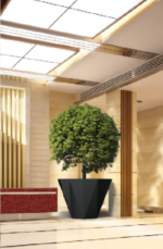 Trave Grp tree pot - Image 4