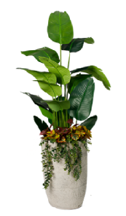 Untitled Banana Botanical Artificial Tree 190-200 cm - Image 1