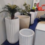 Cactus tree pot