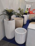 Cactus tree pot